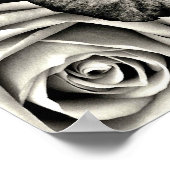 Zwarte en witte rozen poster (Hoek)