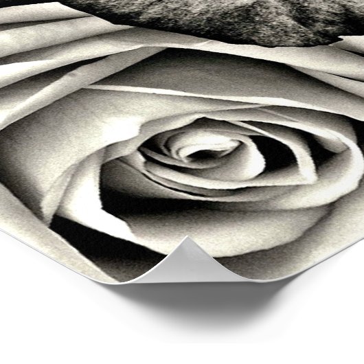 Zwarte en witte rozen poster (Hoek)