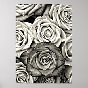 Zwarte en witte rozen poster