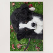 Zwarte en witte schapen hondpuzzel legpuzzel (Verticaal)