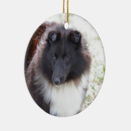 Zwarte en witte scheluw keramisch ornament (Rechts)