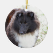 Zwarte en witte scheluw keramisch ornament (Voorkant)