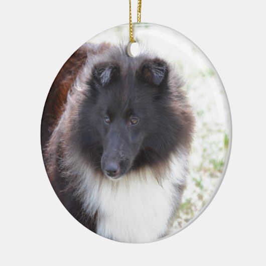 Zwarte en witte scheluw keramisch ornament (Links)