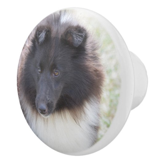 Zwarte en witte scheluw keramische knop (Rechts)