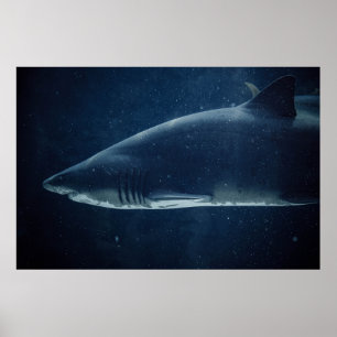 ZWARTE EN WITTE SCHERM ONDER WATER POSTER