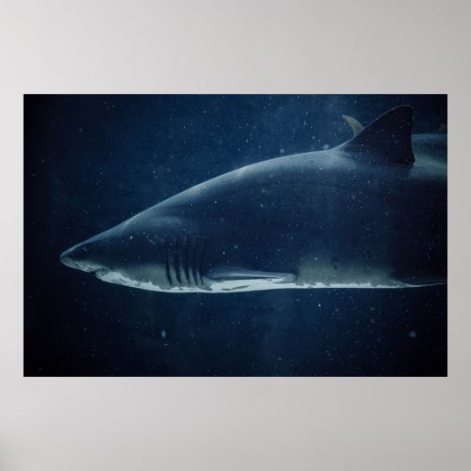 ZWARTE EN WITTE SCHERM ONDER WATER POSTER (Voorkant)
