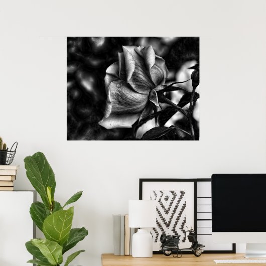 zwarte en witte schets van roos poster (Thuiskantoor)