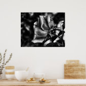 zwarte en witte schets van roos poster (Keuken)