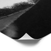 zwarte en witte schilderachtig honden in parklands poster (Hoek)