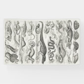 Zwarte en Witte Schildpad Reptielen Alligators Spandoek (Horizontaal)