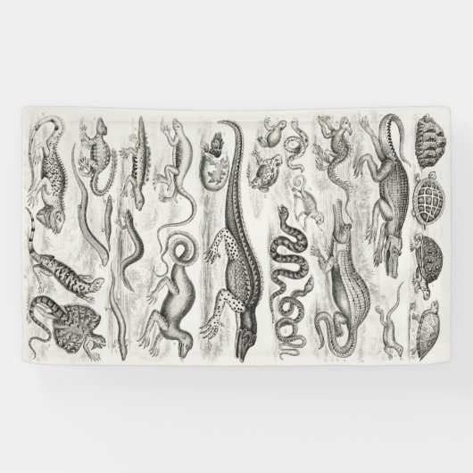 Zwarte en Witte Schildpad Reptielen Alligators Spandoek (Horizontaal)