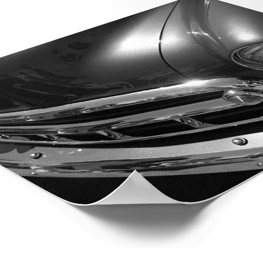 Zwarte en witte schoonheid poster (Hoek)