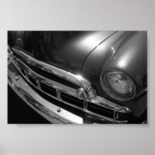 Zwarte en witte schoonheid poster