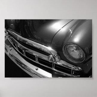 Zwarte en witte schoonheid poster