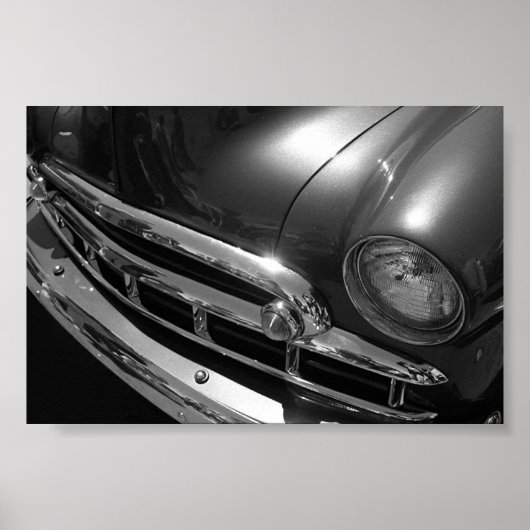 Zwarte en witte schoonheid poster (Voorkant)