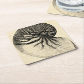  zwarte en witte schroef kartonnen onderzetters (Schuin)