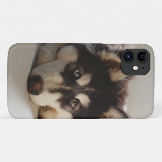 Zwarte en witte siberische husky Case-Mate iPhone case (Achterkant (horizontaal))