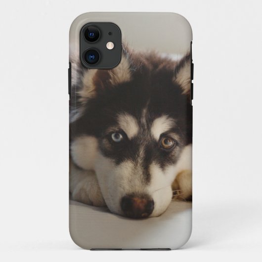 Zwarte en witte siberische husky Case-Mate iPhone case (Achterkant)