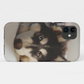 Zwarte en witte siberische husky Case-Mate iPhone case (Achterkant (horizontaal))