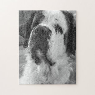 Zwarte en witte Sint Bernard-hond Legpuzzel