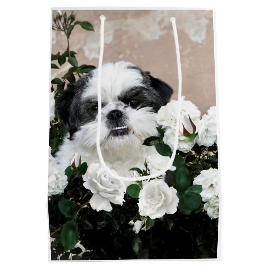 Zwarte en witte sjiitische Tzu Medium Cadeauzakje (Achterkant)