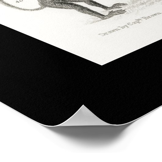 Zwarte en witte skelet Skulls Mammalia Poster (Hoek)