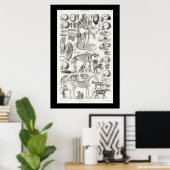 Zwarte en witte skelet Skulls Mammalia Poster (Thuiskantoor)