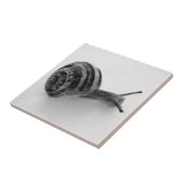 Zwarte en witte slak tegeltje (Zijkant)