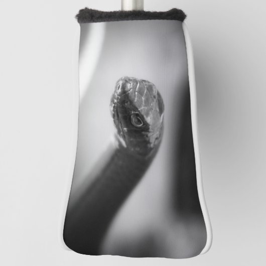 Zwarte en witte slang golfheadcover (Draai 90)