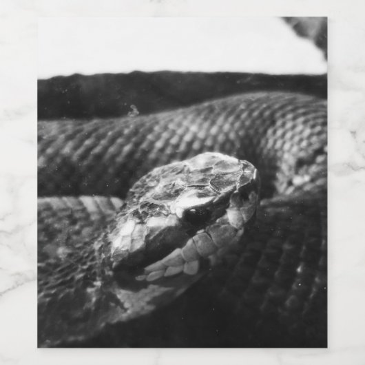 Zwarte en witte slang wijn etiket (Enkel label)