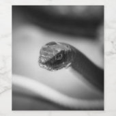 Zwarte en witte slang wijn etiket (Enkel label)