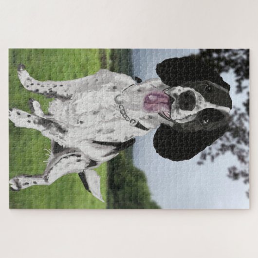 Zwarte en witte spaniel legpuzzel (Horizontaal)