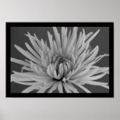 Zwarte en witte spinmum poster (Voorkant)