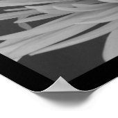 Zwarte en witte spinmum poster (Hoek)