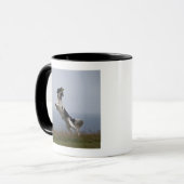 zwarte en witte Springer-spaniel met Mok (Voorkant links)