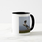 zwarte en witte Springer-spaniel met Mok (Voorkant rechts)