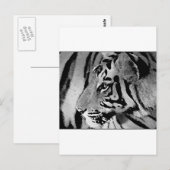 Zwarte en witte tijger briefkaart (Voorkant / Achterkant)