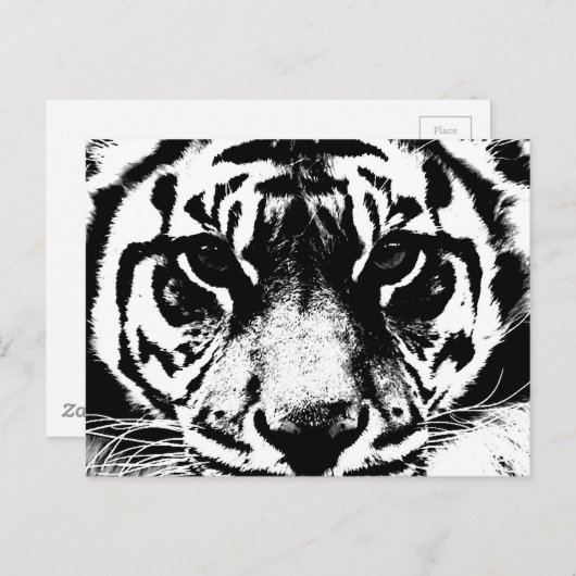 Zwarte en witte tijger briefkaart (Voorkant / Achterkant)