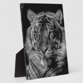 Zwarte en witte tijger fotoplaat (Zijkant)