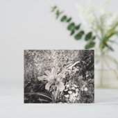  zwarte en witte tijger Lily-bloem Briefkaart (Staand voorkant)