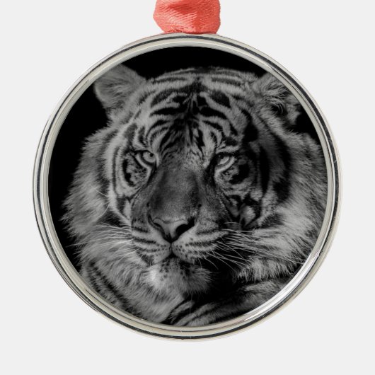 Zwarte en witte tijger metalen ornament (Voorkant)