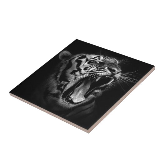 Zwarte en witte tijger tegeltje (Zijkant)