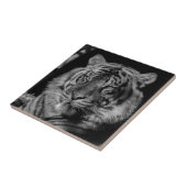 Zwarte en witte tijger tegeltje (Zijkant)