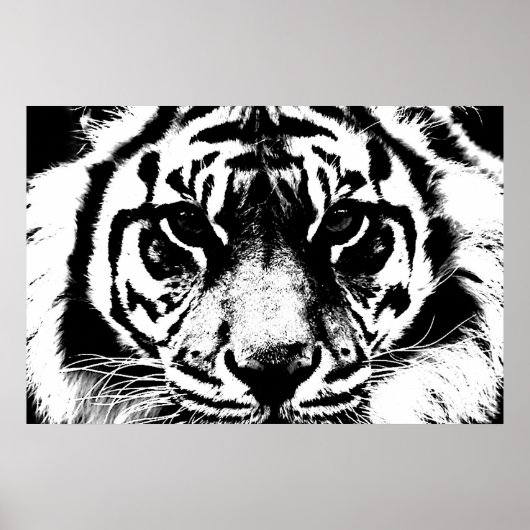 Zwarte en witte tijgerogen poster (Voorkant)