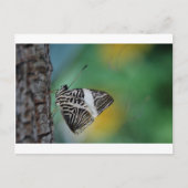 Zwarte en witte tijgervlinder briefkaart (Voorkant)