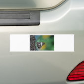 Zwarte en witte tijgervlinder bumpersticker (Op auto)