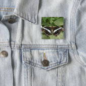 Zwarte en witte tropische vlinderButton Vierkante Button 5,1 Cm (In situ)