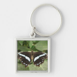 Zwarte en witte tropische vlinderSleutelhanger Sleutelhanger