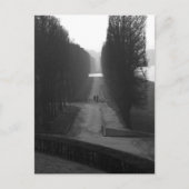 Zwarte en witte tuinen van Versailles Briefkaart (Voorkant)