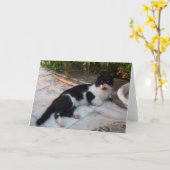 ZWARTE EN WITTE TURKSE CAT PIERO KAART (Gele Bloem)